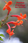 Kenton Provings / Jan Scholten