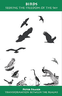 Birds, Seeking the Freedom of the Sky/Peter Fraser