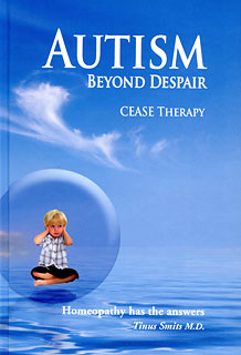 Autism: Beyond Despair/Tinus Smits