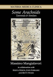 Some Arachnids - Tarentula & Similars/Massimo Mangialavori