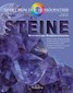 Narayana Verlag: Spektrum der Homöopathie 2019-2, Steine
