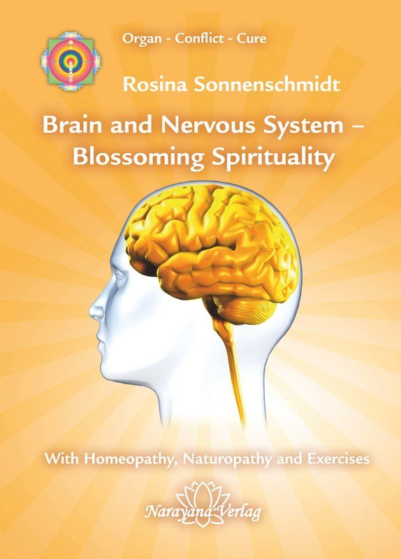 Brain and Nervous System  Blossoming Spirituality
