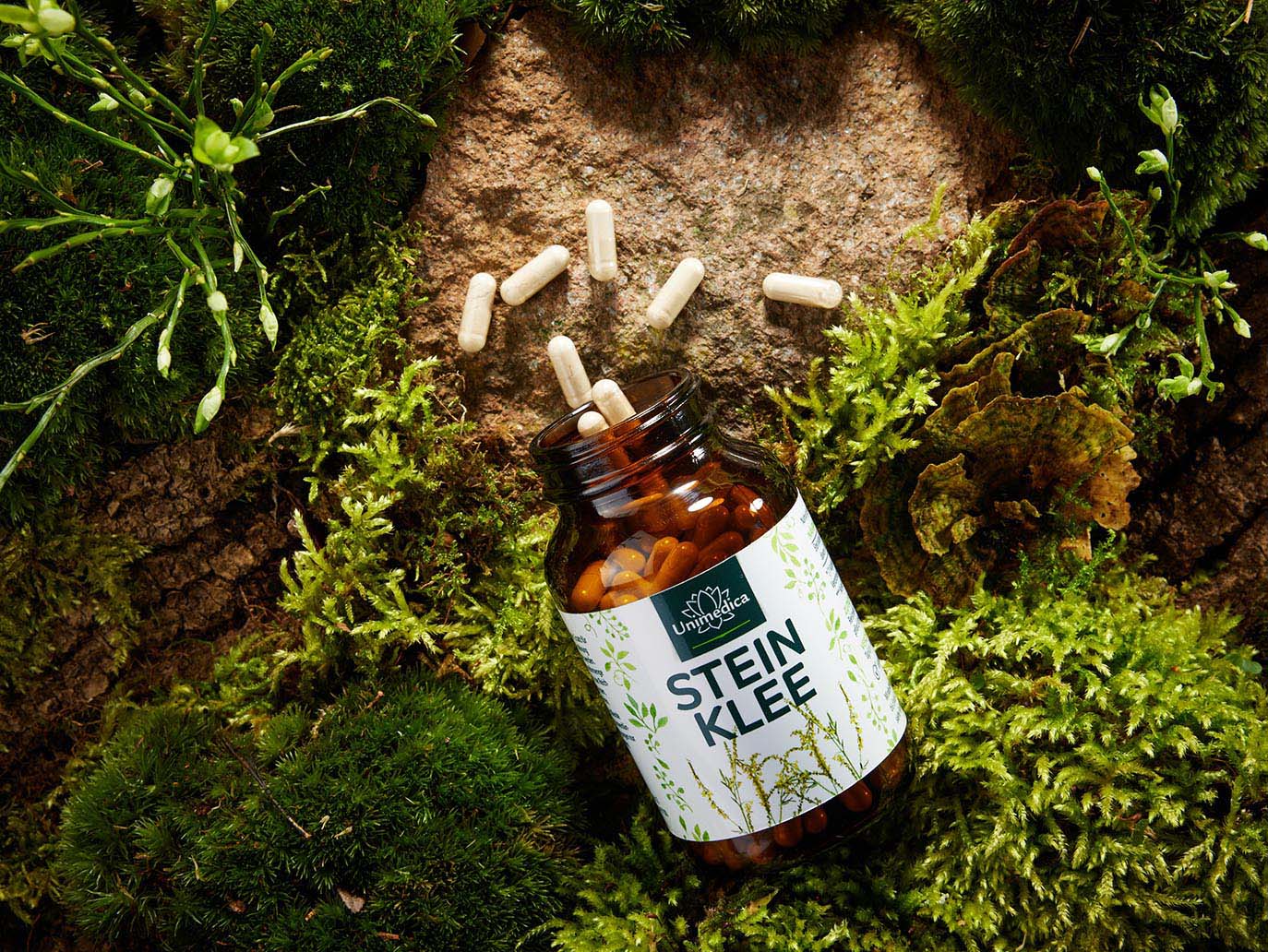 Steinklee Extrakt - 30 mg Tagesdosis (1 Kapsel) - mit 18 % Cumarin - 180 Kapseln - von Unimedica