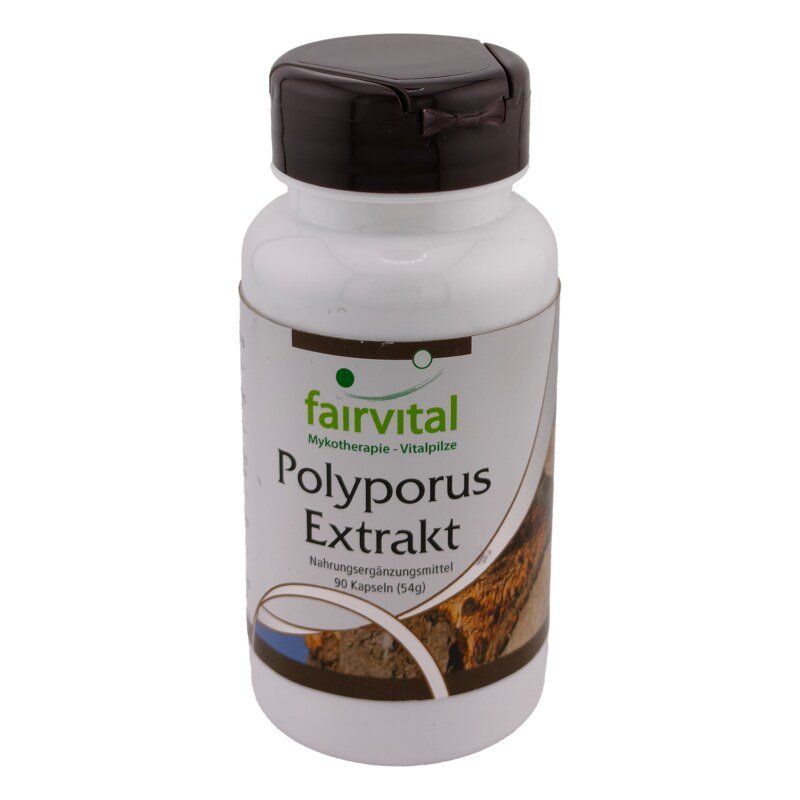 Polyporus Extrakt - Fairvital - 90 Kapseln