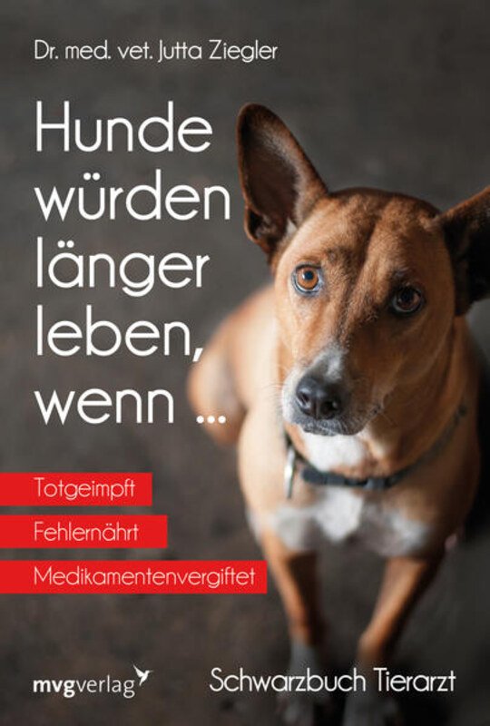 Hunde würden länger leben, wenn...