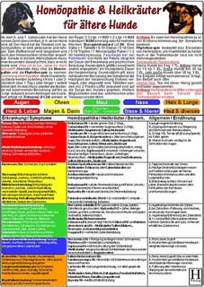 Homöopathie & Heilkräuter für "ältere" Hunde