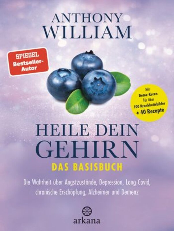 Heile dein Gehirn  Das Basisbuch