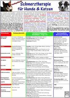 Homöopathische Schmerztherapie für Hunde & Katzen - Karte A5